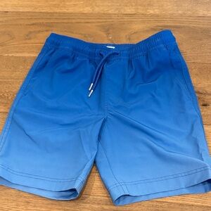 Blue Crown Boy’s  Swim Shorts